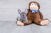 French bulldog  10weeks (Bom & Lois)